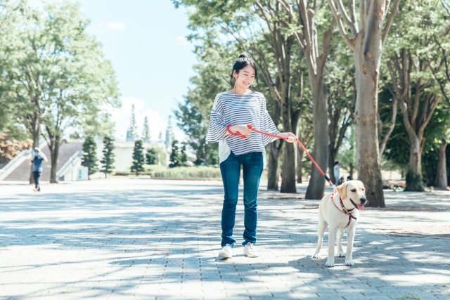 足首の痛みが回復し、犬の散歩をする女性