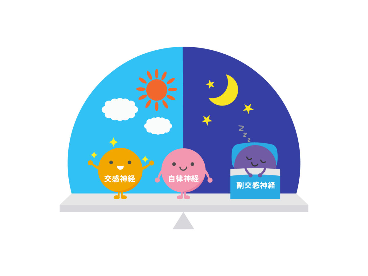 自律神経のイラスト
